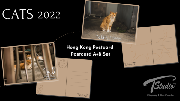 2022 Cats Postcard Set